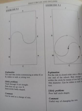 Image 3 of BOOK: School Exercises for flatwork & jumping