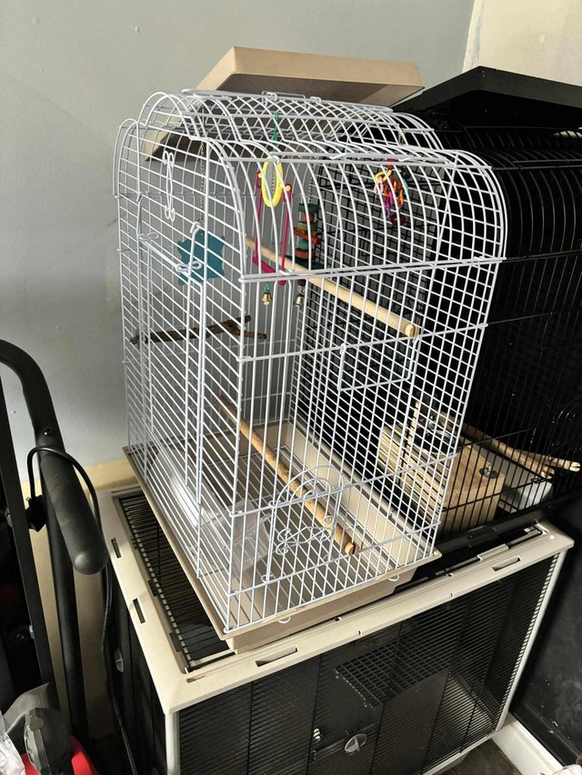 Preview of the first image of Medium Bird cages for sale.