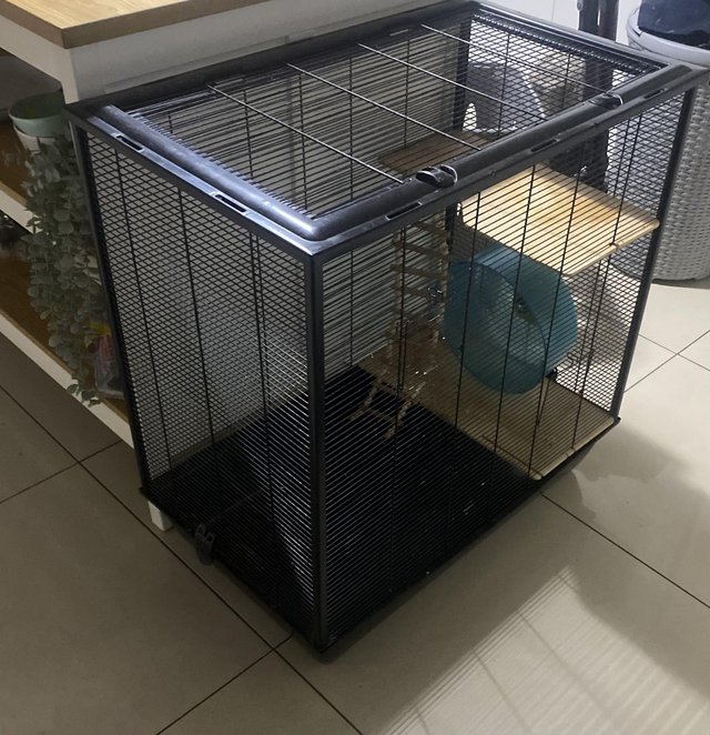 Preview of the first image of Rat Cage in great condition.
