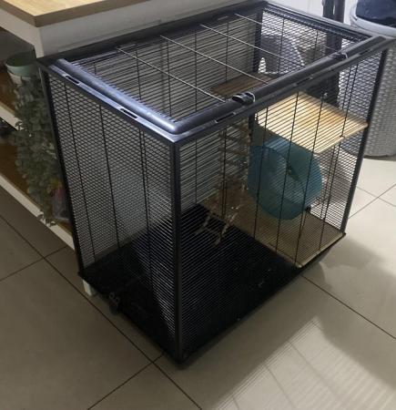 Image 1 of Rat Cage in great condition
