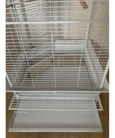 Image 4 of Parrot-Supplies Oklahoma Premium Play Top Corner Parrot Cage