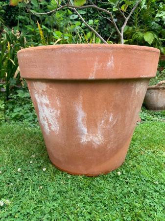 Image 1 of Lovely heavy terracotta plant pot