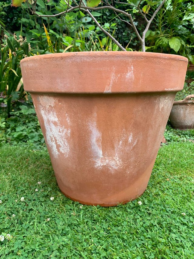 Preview of the first image of Lovely heavy terracotta plant pot.