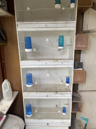 Image 5 of Budgie breeding cages x 4 with nest boxes