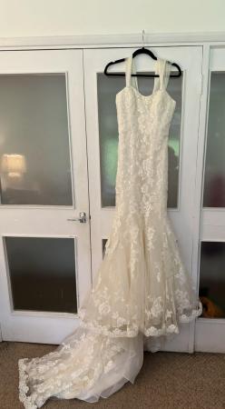 Image 2 of Benjamin Roberts Wedding Dress