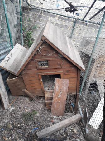 Image 6 of chicken coops/huts used for sale