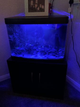 Image 4 of Tropical fish tank for sale £30