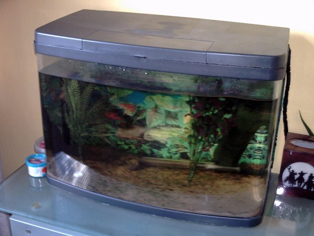 Preview of the first image of For sale fish tank, in good condition.