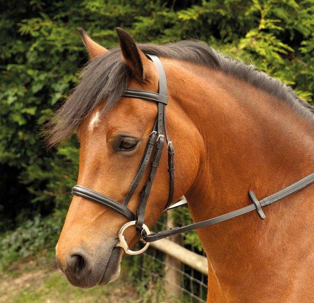 Preview of the first image of NEW WINDSOR LEATHER SNAFFLE BRIDLE BLACK OR HAVANA FOR £22..