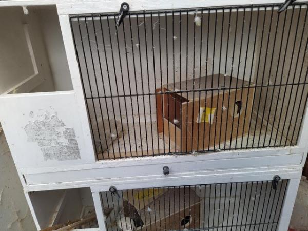 Image 3 of BREEDING CAGES FOR SALE