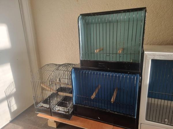 Image 8 of Birds cages for small birds ??  all good condition quick sal