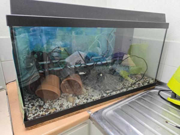 Image 2 of Jewel aquarium for sale good condition