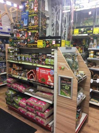 Image 12 of Warrington pets and exotics a fully stocked pet shop/store