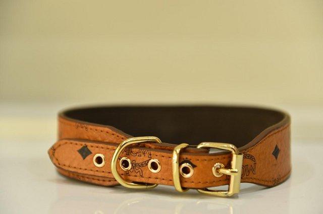 Mcm 2024 dog collar