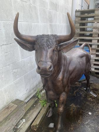 Image 2 of Life size bronze bull sculpture