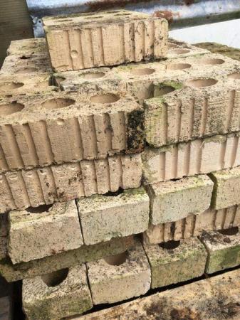Image 1 of Various Bricks and block pavers etc