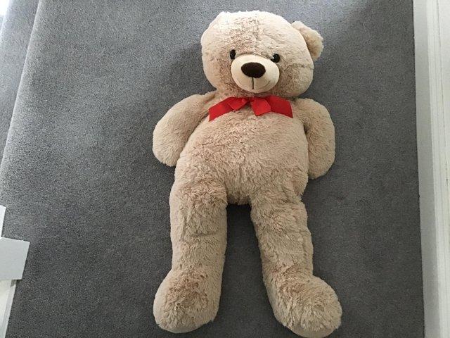 Preview of the first image of Soft cuddly Teddy Bear in excellent condition.