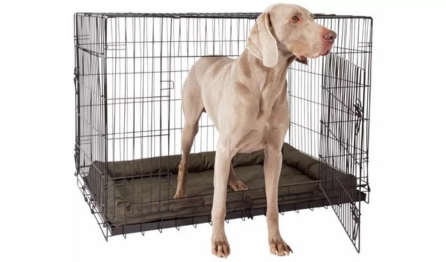 Image 2 of Dog Cage Extra Large Heavy Duty