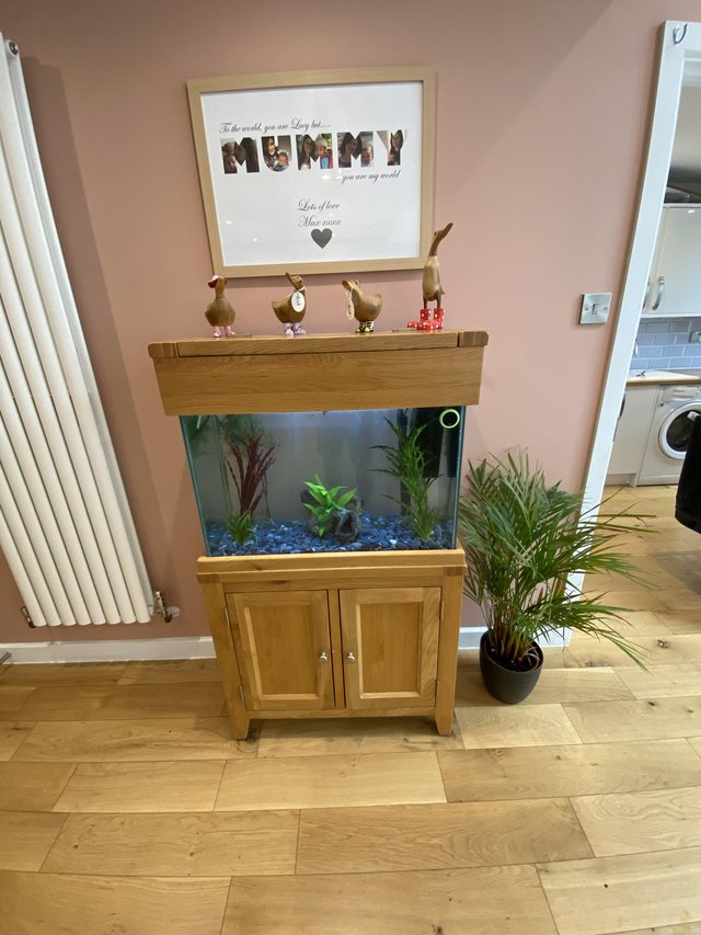 Preview of the first image of Oak fish tank with fish and accessories.