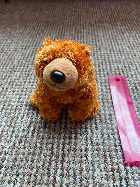 Preview of the first image of Cute Grizzly Bear Beanie Baby Cuddly toy 'Sequoia'.
