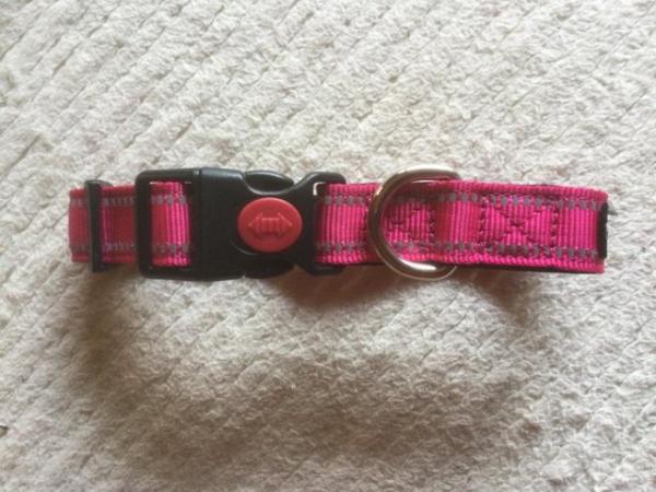 Image 2 of Pink Collar for Small/Medium Sized Dog