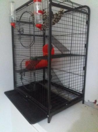 Image 4 of Rodent/bird cage for sale comes with accessories