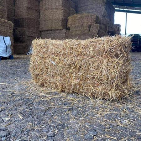 Image 6 of Barley straw bale in a bag FREE DELIVERY