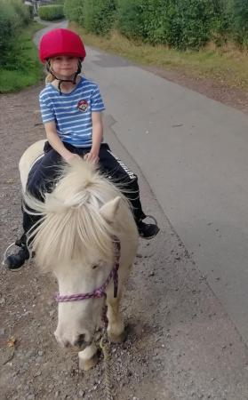 Image 2 of Childs lead rein Shetland pony for part loan
