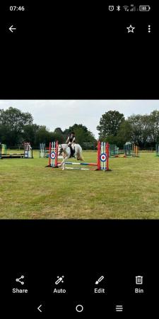 Image 1 of 13.1hh Gypsy Cob Mare top prospect