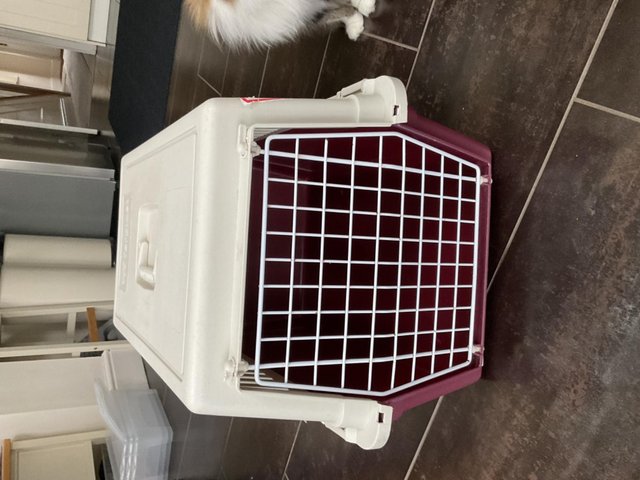 Preview of the first image of Cat/ small dog travel basket.
