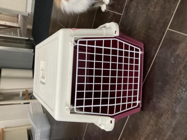 Image 1 of Cat/ small dog travel basket