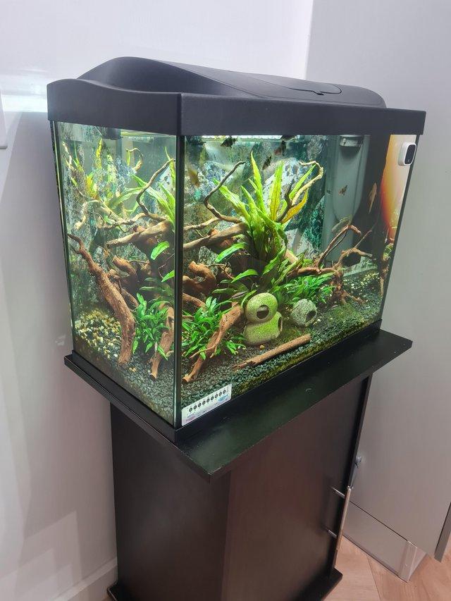 Preview of the first image of 70l fluval aquarium with fish.