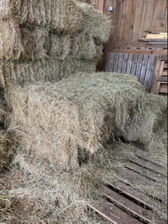 Image 1 of 2023 Small Bale Organic Hay (barn clearance)