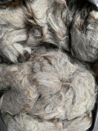 Image 2 of Alpaca fibre grey fleece