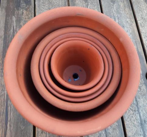 Image 3 of Glazed Terracotta Planter Pots