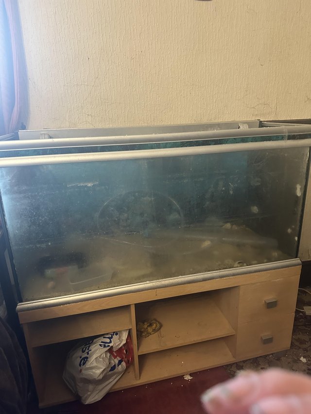 Preview of the first image of Fish tank for free to good home.