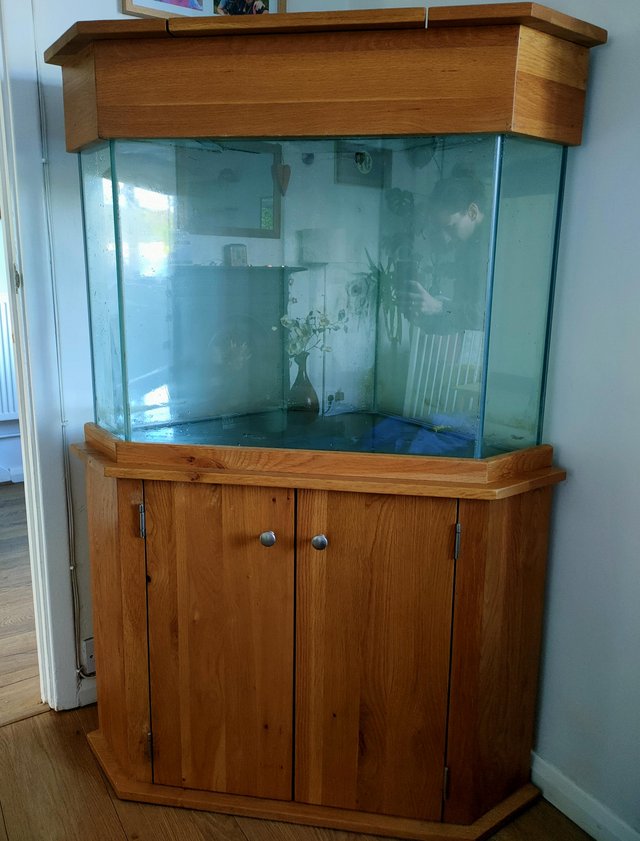 Preview of the first image of Corner Fish Tank with solid oak cabinet.