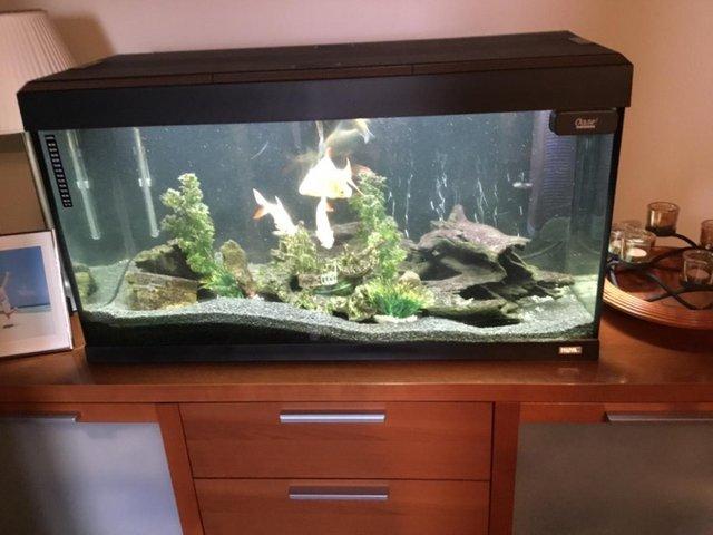 Preview of the first image of Fluval Aquarium with LED Strip Light.