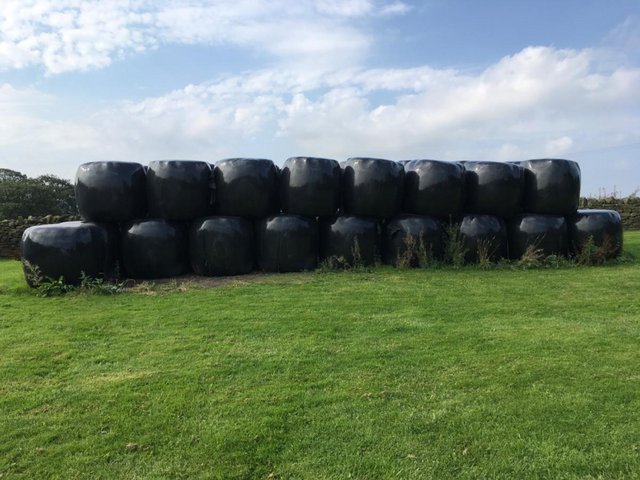 Preview of the first image of LARGE ROUND HAYLAGE BALES.