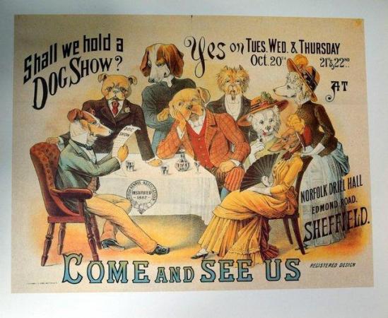 Image 1 of DOG SHOW PRINT FROM CRUFTS / KENNEL CLUB SALE