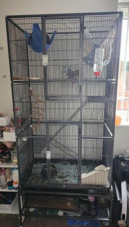 Image 5 of Cage for Birds, Rats, Mice, rabbits etc