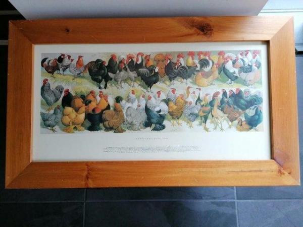 Image 3 of Farmyard Poultry Framed Print by A F Lydon