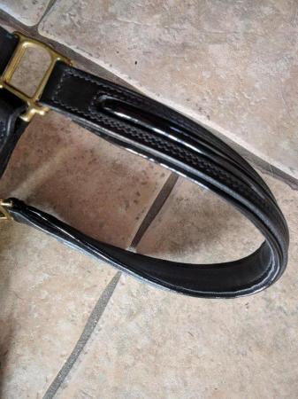 Image 6 of PATENT LINE WITH PATENT PADDED ALBION HEAD COLLAR