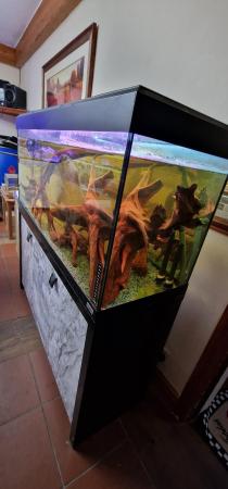 Image 4 of 4ft Fluval roma 240 aquarium for sale