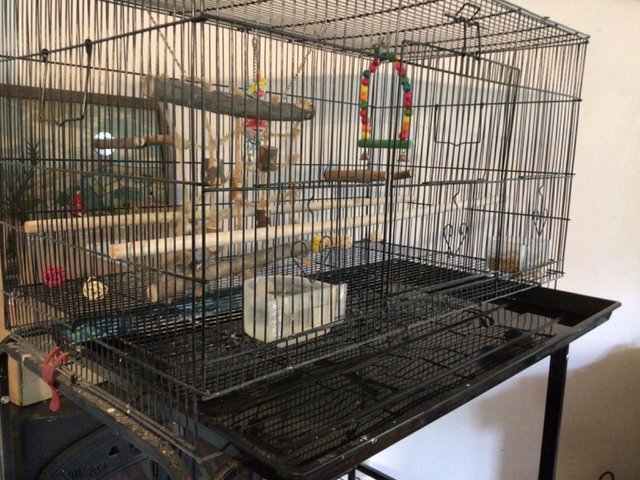Preview of the first image of Large Bird Cage and Stand suitBudgie Cockatiel Canary.
