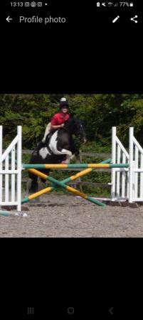 Image 1 of Barbie, Perfect 2nd pony