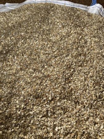 Image 2 of Rolled oats,  sheep/goat/ cattle/pig feed