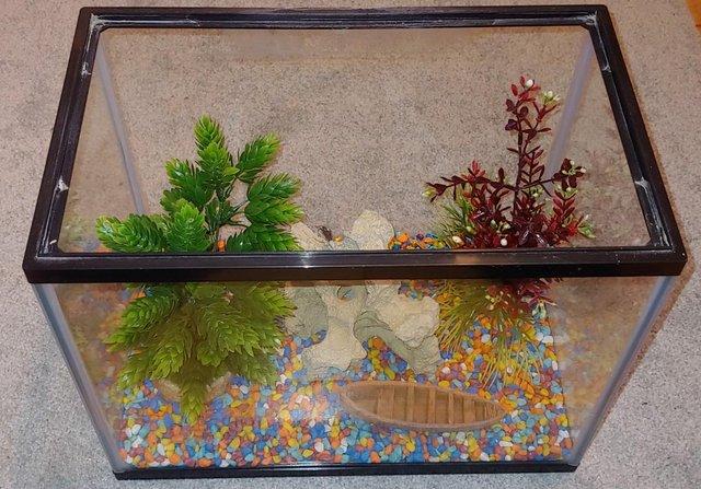 Image 4 of AquaTown 19 litre fish tank, filter and accessories
