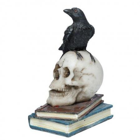 Image 1 of Crow Standing on Skull and Books Ornament. Free uk Postage
