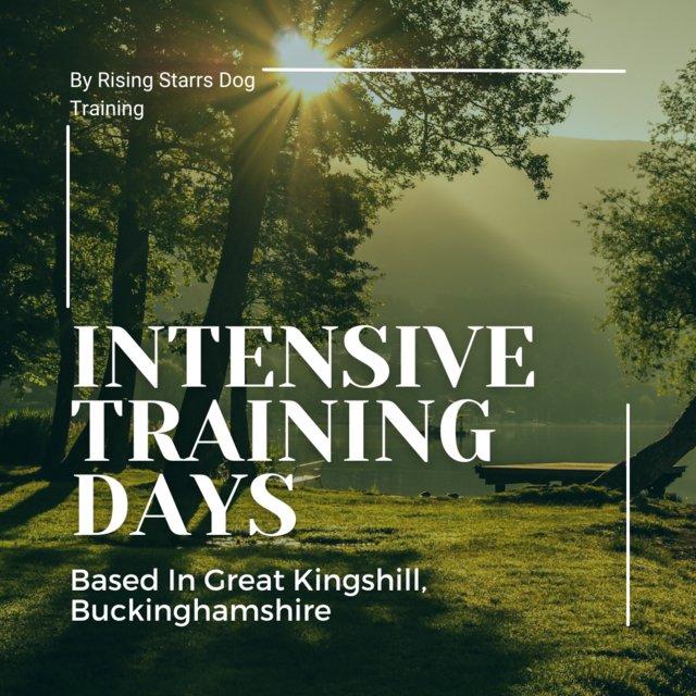 Preview of the first image of INTENSIVE TRAINING- An Alternative To Residential Training.